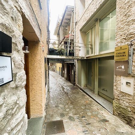 Apartamento Duplex En El Corazon De Camprodon, La Rovira Ngoại thất bức ảnh